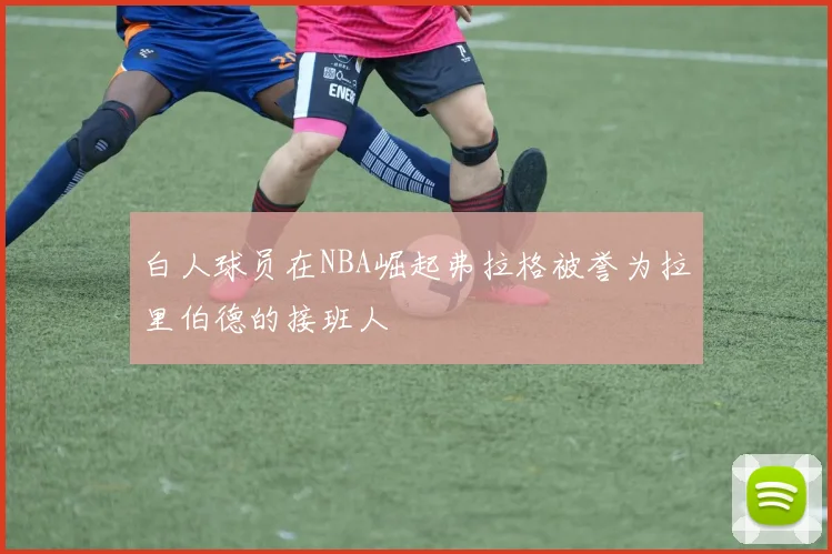 白人球员在NBA崛起弗拉格被誉为拉里伯德的接班人